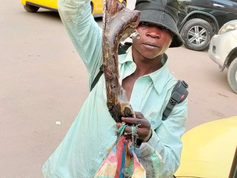 DR Congo Mission 2022