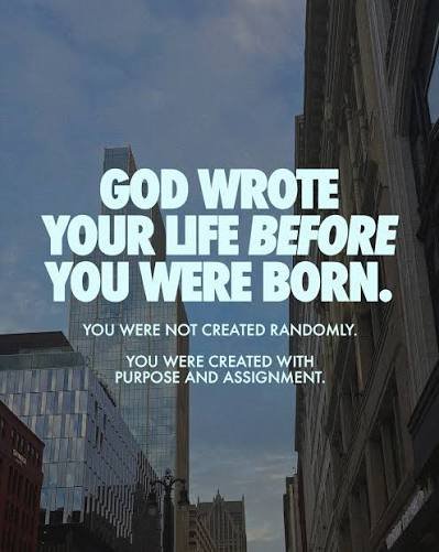 How God Wrote Your Life and Purpose